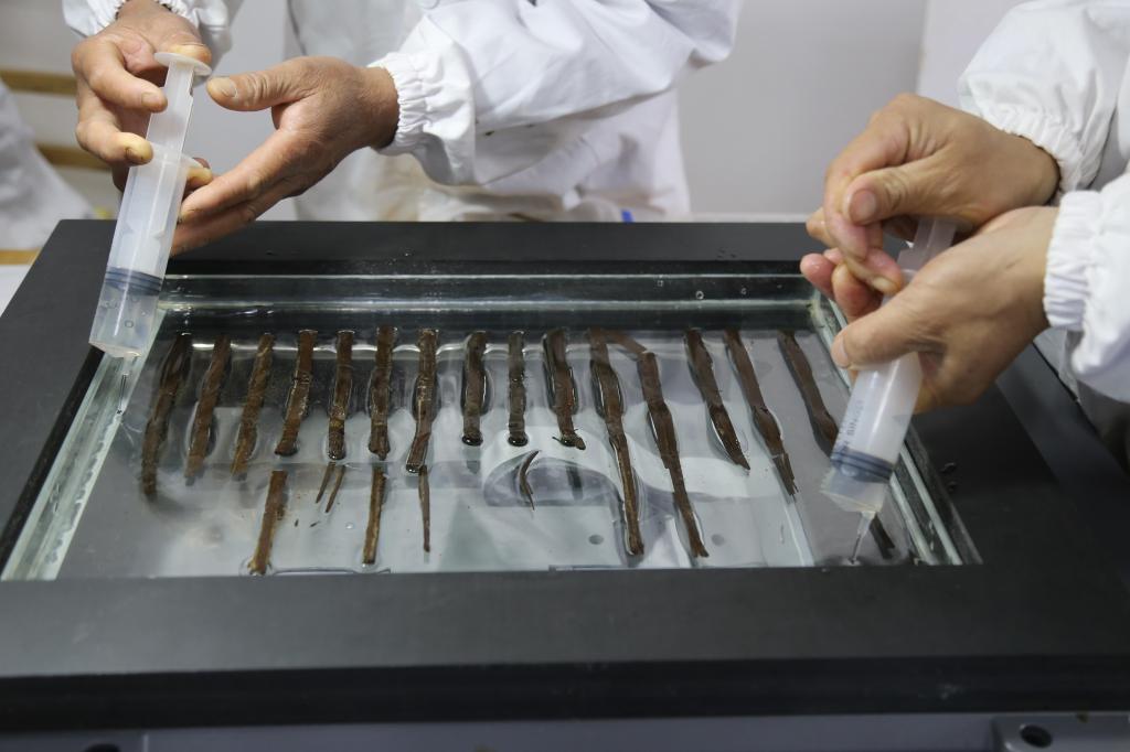 海昏简牍经文保修复数量更新为5795枚