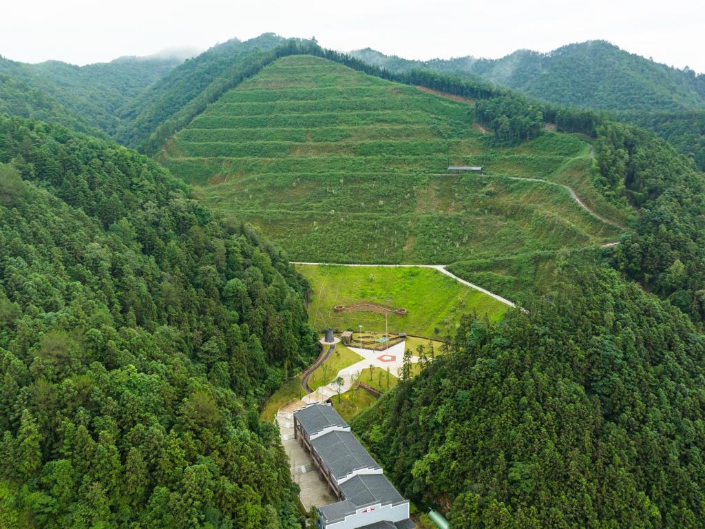 四中全会精神在基层|荒山“焕新”记